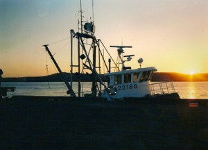 Creative Writing Bits and Pieces